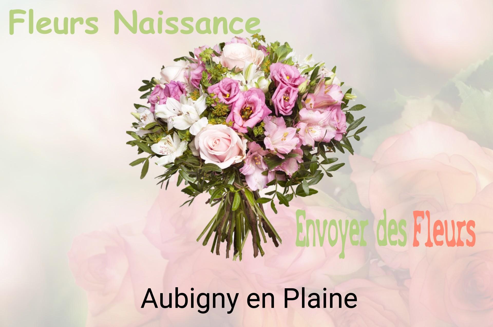 Bouquet de fleurs de naissance livré à Aubigny-en-Plaine